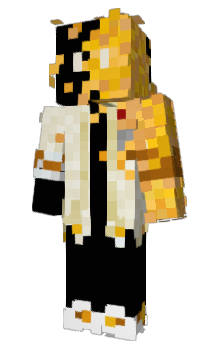 Minecraft skin IN4T