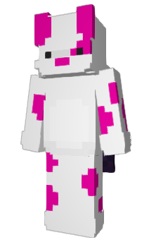 Minecraft skin PhiliDawg