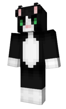 Minecraft skin 6517