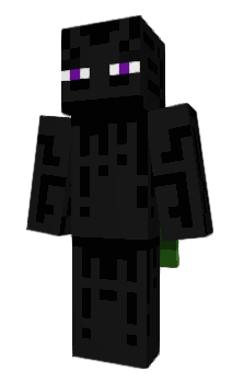 Minecraft skin ptty