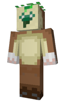 Minecraft skin Kikwi
