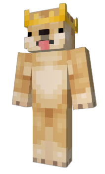 Minecraft skin Rupa