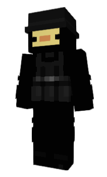 Minecraft skin Transpito