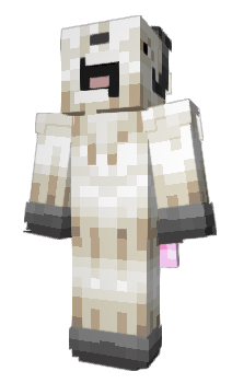 Minecraft skin Asisen