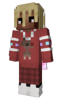 Minecraft skin snkit