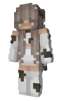 Minecraft skin stationaryMG42