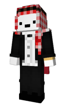 Minecraft skin _Ver