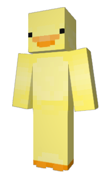Minecraft skin nTiy