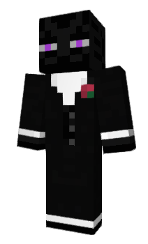 Minecraft skin UGERTIO