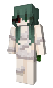 Minecraft skin DanmEmpty