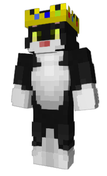 Minecraft skin perem1ch