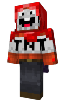 Minecraft skin Raid