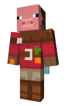 Minecraft skin CLEVERyt