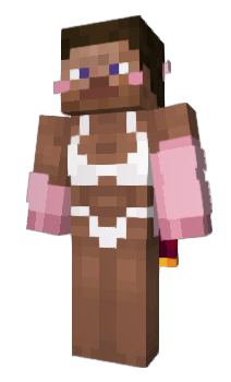 Minecraft skin Vilendi