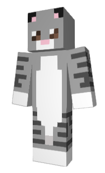 Minecraft скін по ніку wawr