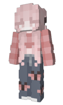 Minecraft skin Pinkity