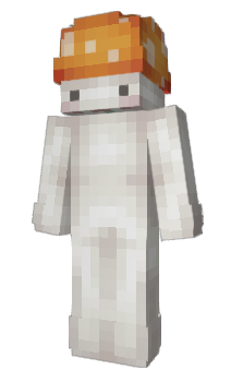 Minecraft skin dmap