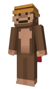 Minecraft skin quidr