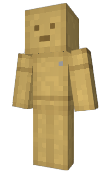 Minecraft skin toyom