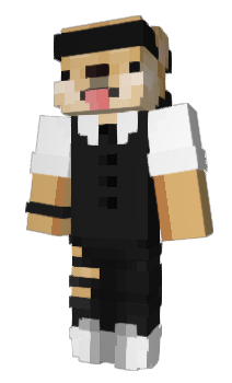 Minecraft skin fiev