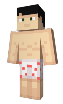 Minecraft skin T9_