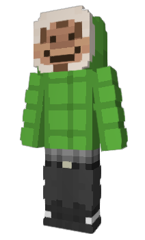 Minecraft skin Biped