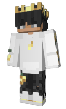 Minecraft skin llcs