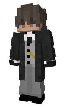 Minecraft skin Modp