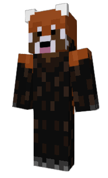 Minecraft skin TakisBag