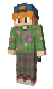 Minecraft skin raphcrafter