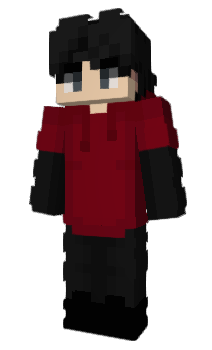 Minecraft skin Puxc