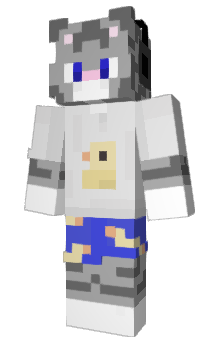 Minecraft skin Mr_Barsik_YT