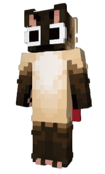 Minecraft skin ar1s