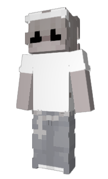 Minecraft skin KrigerBamseV2