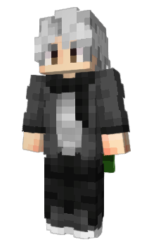 Minecraft skin TheTer