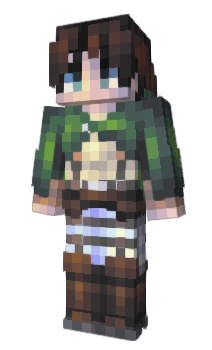 Minecraft skin Midwith