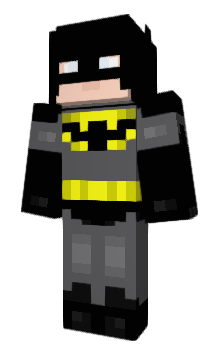 Minecraft skin _Zii