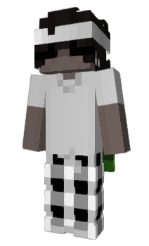 Minecraft skin tmpt