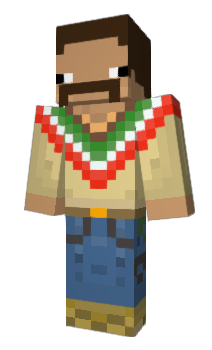 Minecraft skin 350ven