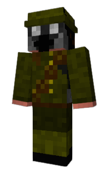 Minecraft skin SonicDom