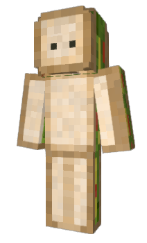 Minecraft skin Bezdomn