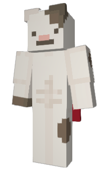 Minecraft skin Jouch