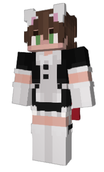 Minecraft skin ArashiNebula