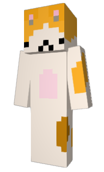 Minecraft skin 2lam