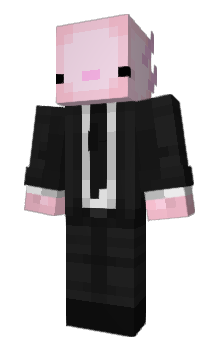 Minecraft skin vhup