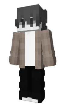 Minecraft skin SJRHF