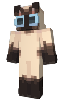 Minecraft скин по нику Raven_3773