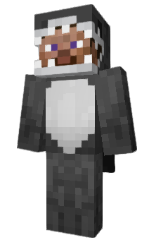 Minecraft skin RD