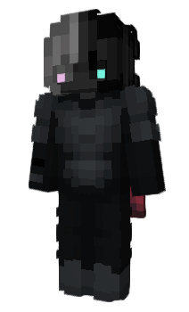 Minecraft skin IPX8