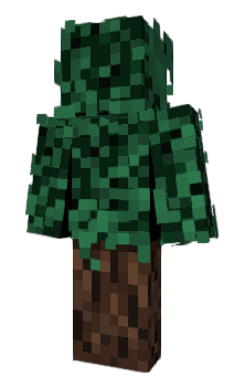 Minecraft skin Xhoc